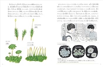 コケのすきまぐらし (月刊たくさんのふしぎ2021年10月号) | 田中